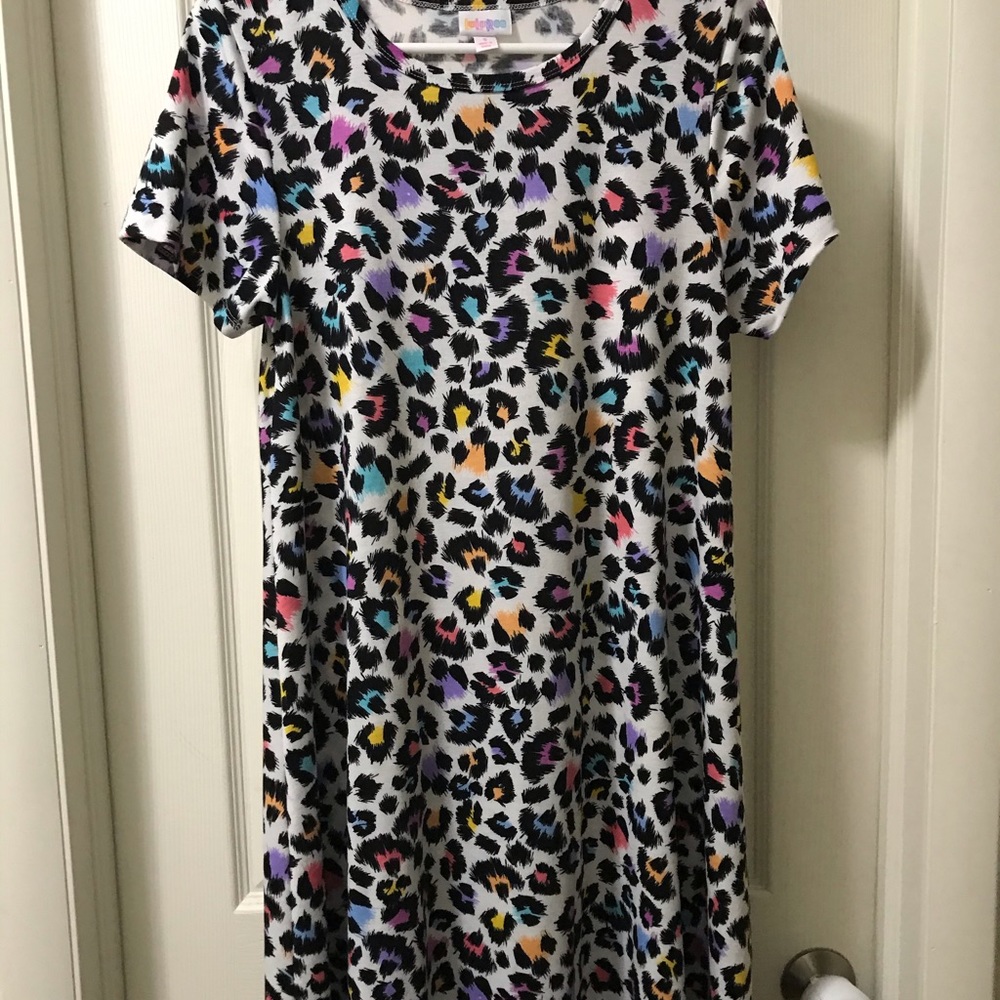 BNWOT Lularoe Carly Dress Small